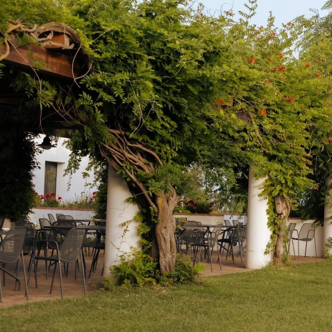 Relais Masseria Cardillo Metapont Exterior foto
